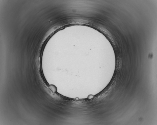 X0000100321130200807031204