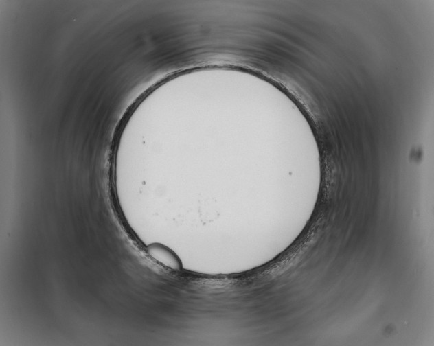 X0000100321134200807031204