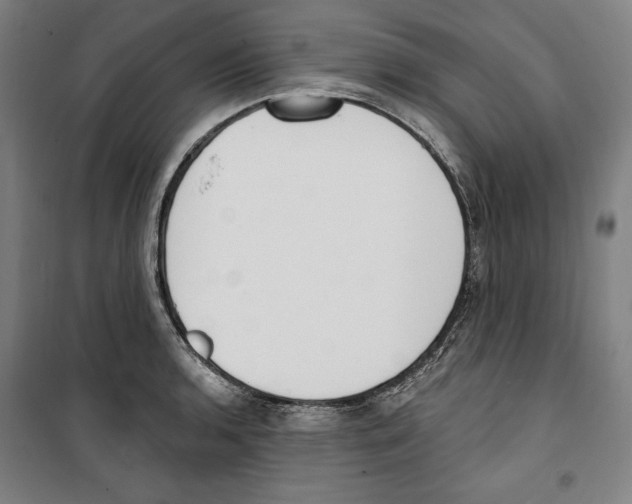 X0000100321136200807031204