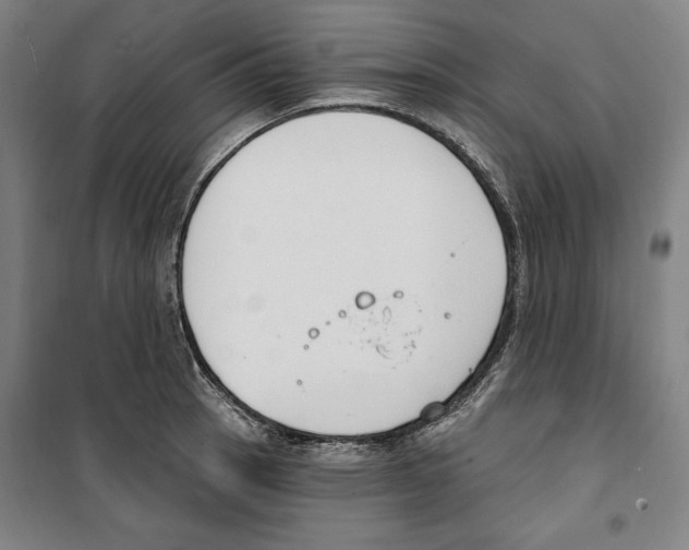 X0000100321137200807031204