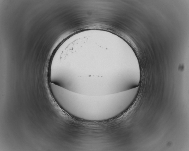 X0000100321138200807031204