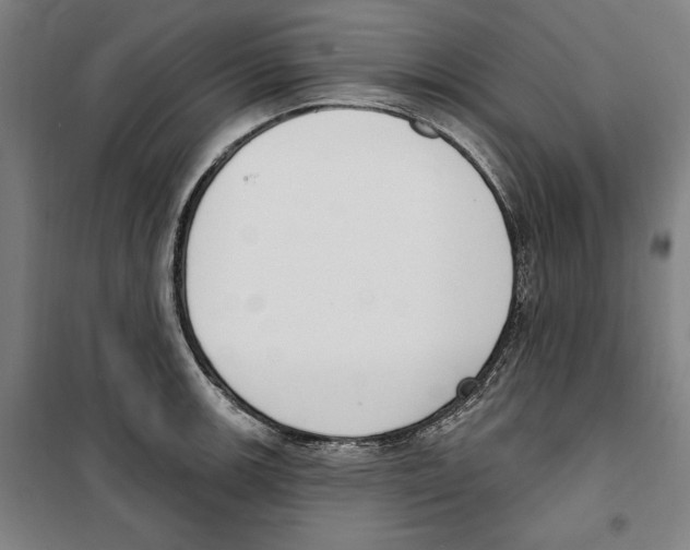 X0000100321139200807031204