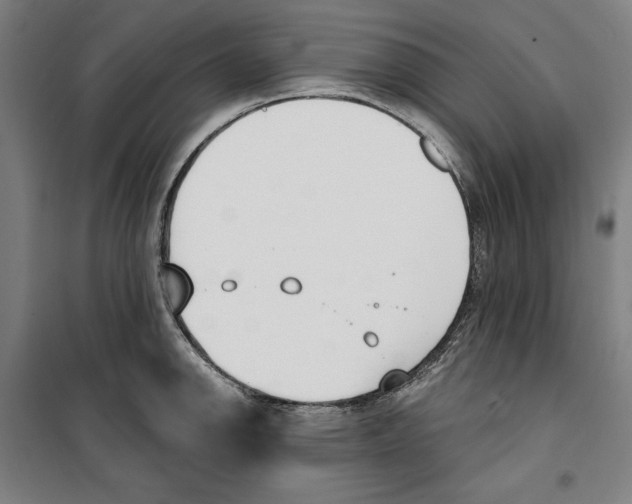 X0000100321142200807031204