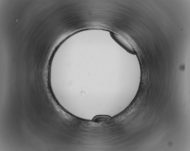 X0000100321144200807031204