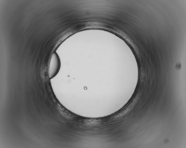 X0000100321145200807031204