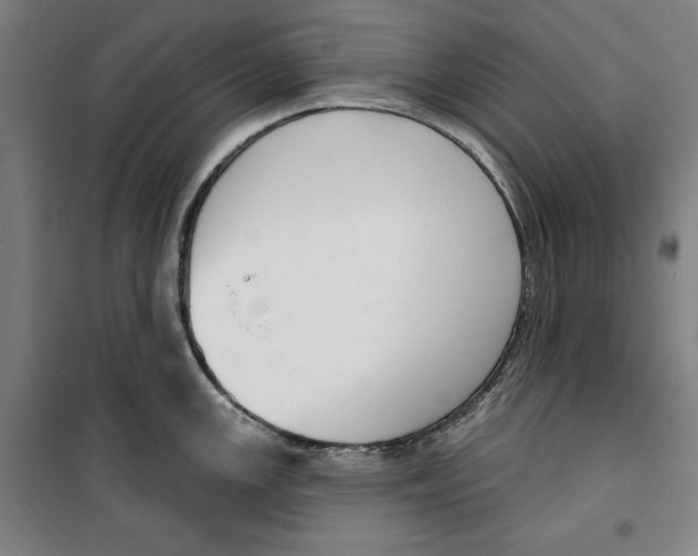 X0000100321147200807031204