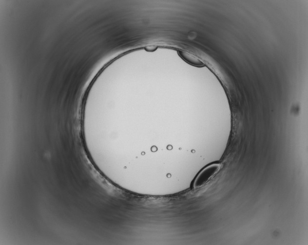 X0000100321148200807031204