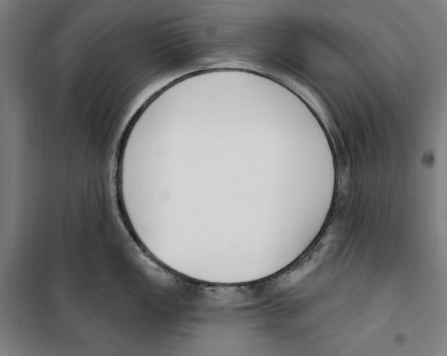 X0000100321149200807031204