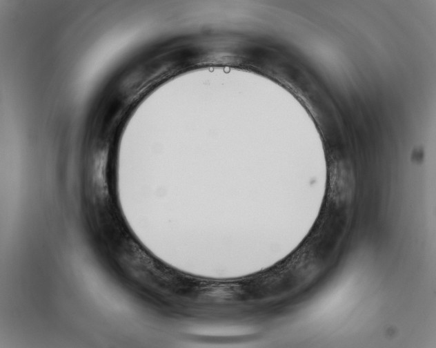 X0000100321150200807031204