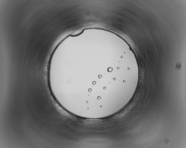 X0000100321151200807031204