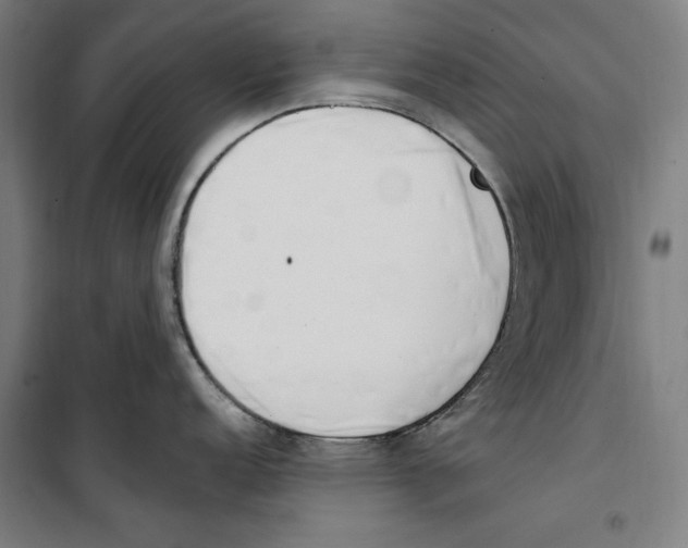 X0000100321152200807031205