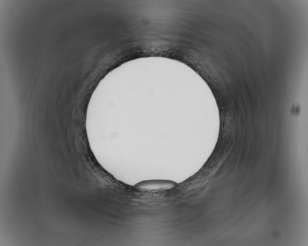 X0000100321153200807031204