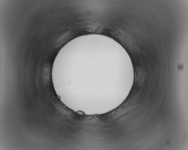 X0000100321154200807031204