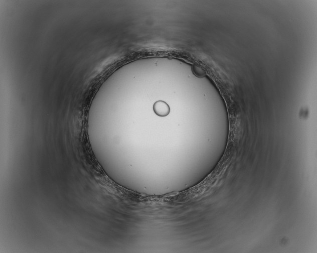 X0000100321157200807031204