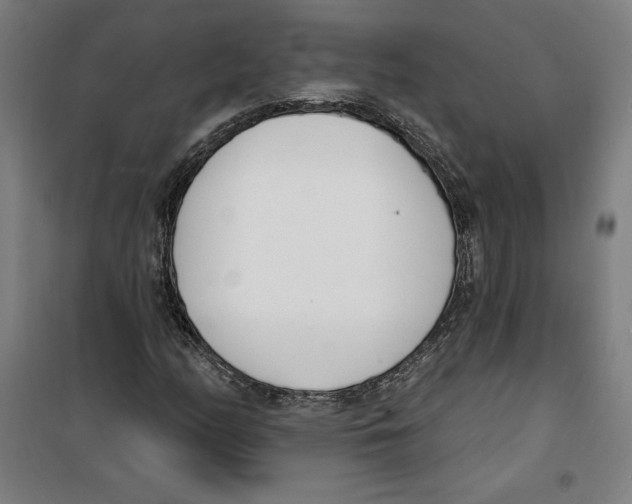 X0000100321158200807031204