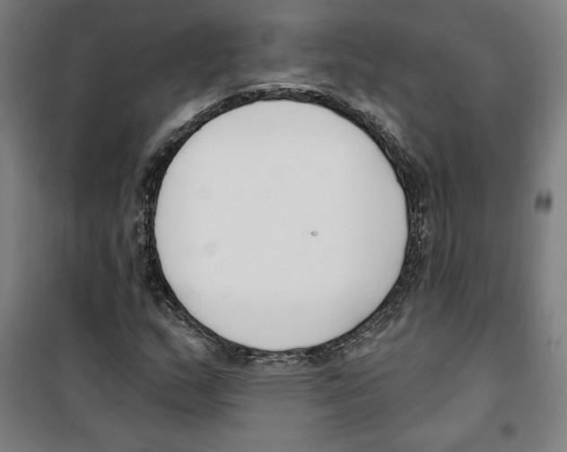 X0000100321159200807031204