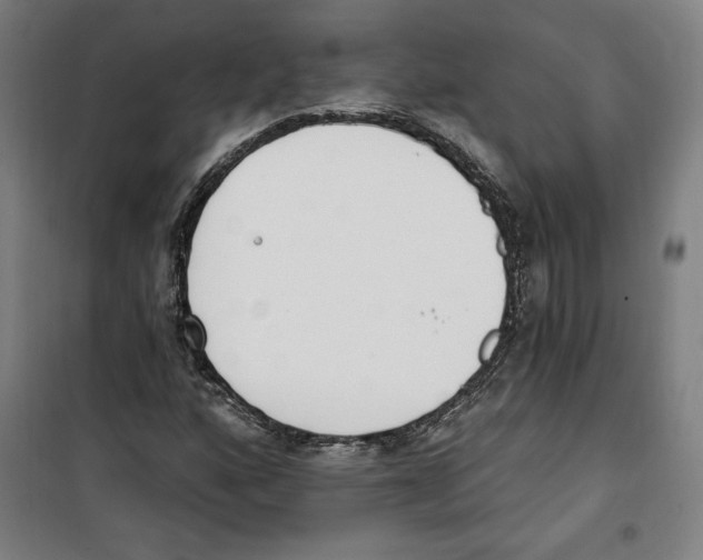 X0000100321160200807031204