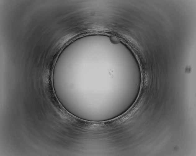 X0000100321161200807031204