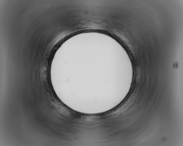 X0000100321163200807031204