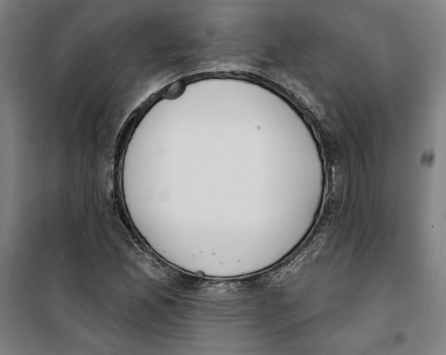 X0000100321165200807031204