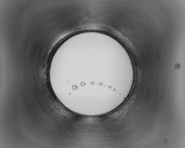 X0000100321166200807031204