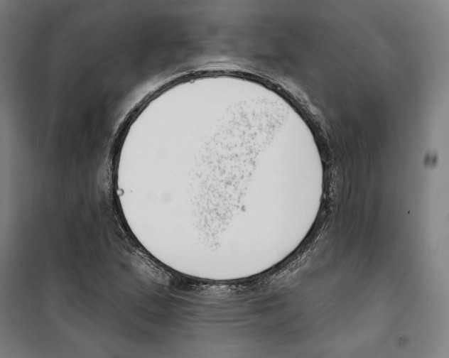 X0000100321167200807031204