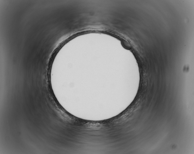 X0000100321168200807031204