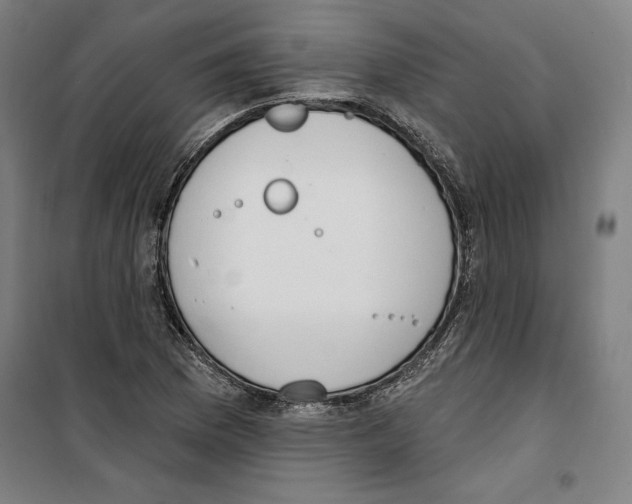 X0000100321169200807031204