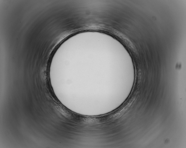 X0000100321170200807031204