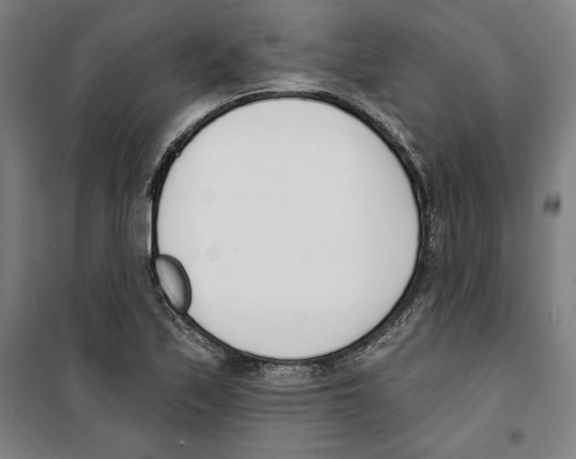 X0000100321171200807031204