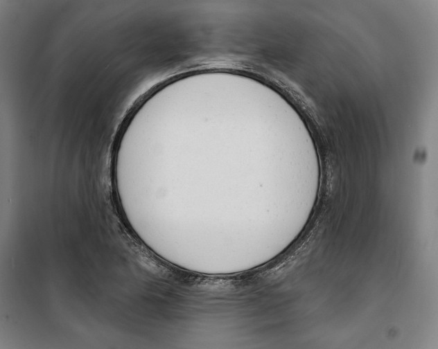 X0000100321174200807031204