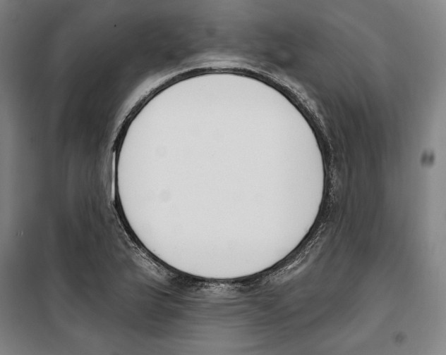 X0000100321175200807031204