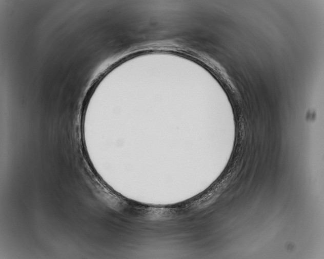 X0000100321176200807031204