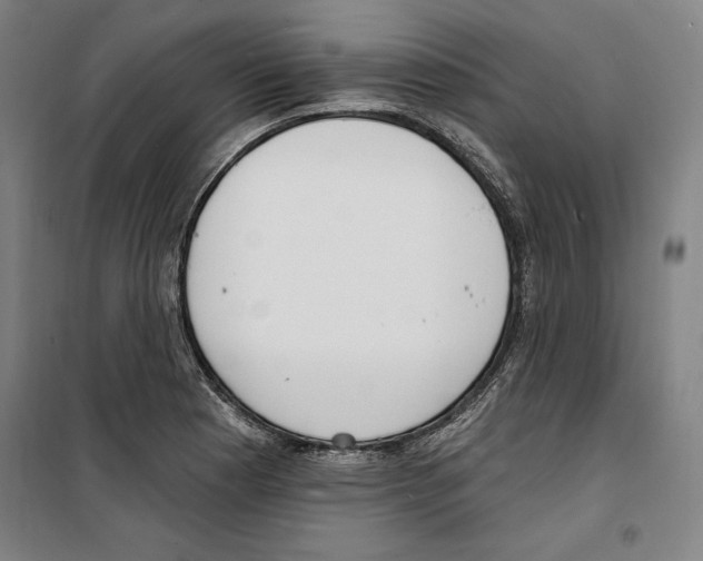 X0000100321177200807031204