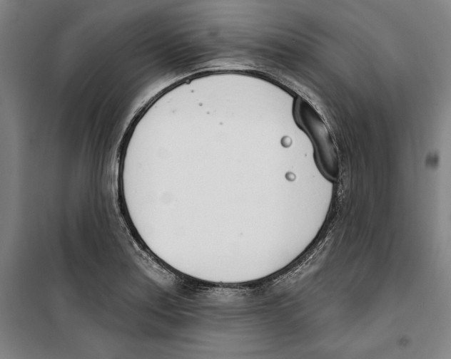 X0000100321179200807031203