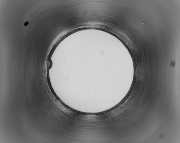 X0000100321180200807031203