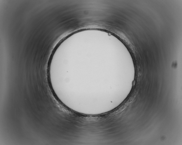 X0000100321181200807031203