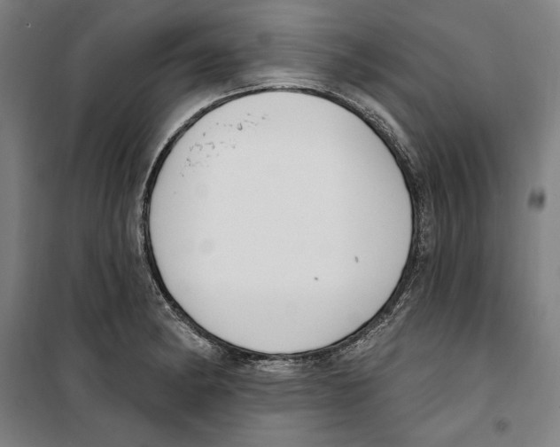 X0000100321182200807031203