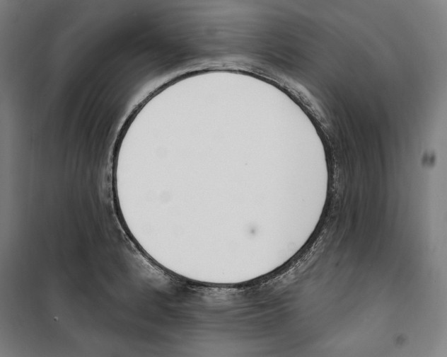 X0000100321184200807031203