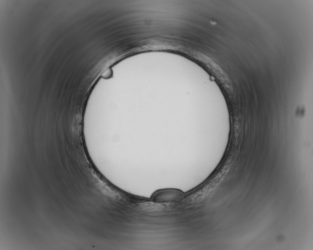 X0000100321185200807031203