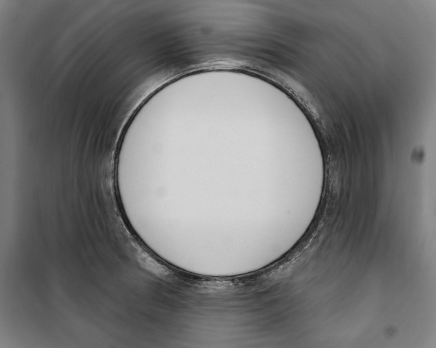 X0000100321186200807031203