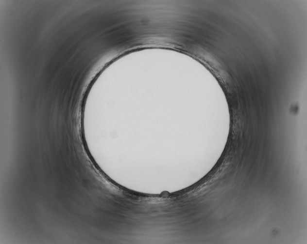 X0000100321188200807031203