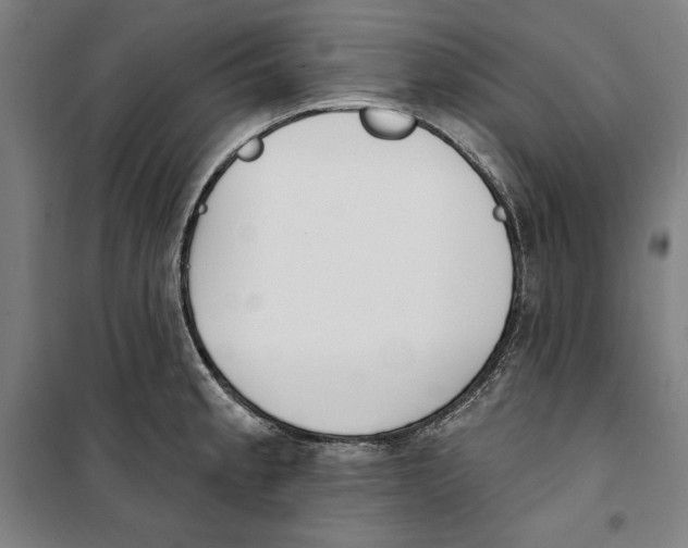 X0000100321189200807031203