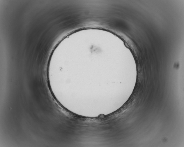 X0000100321191200807031203