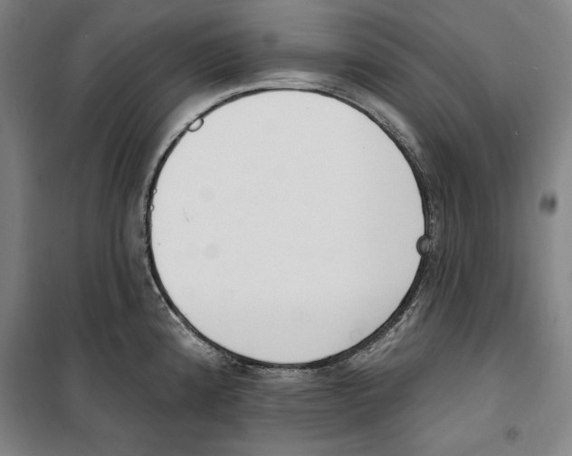 X0000100321192200807031203