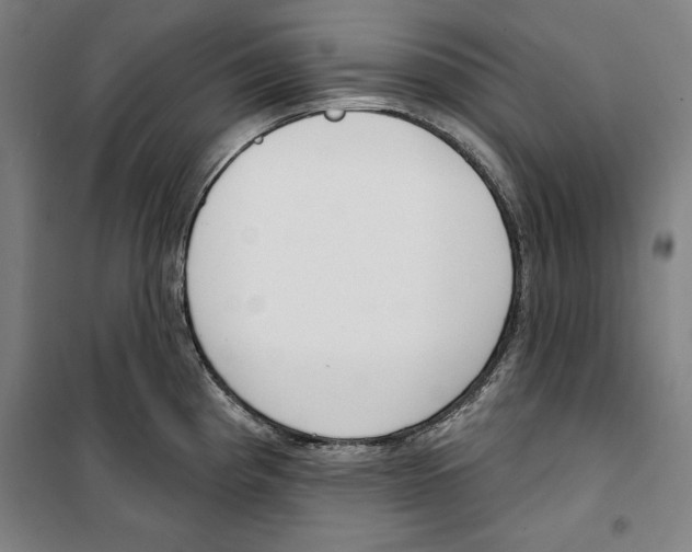 X0000100321193200807031203