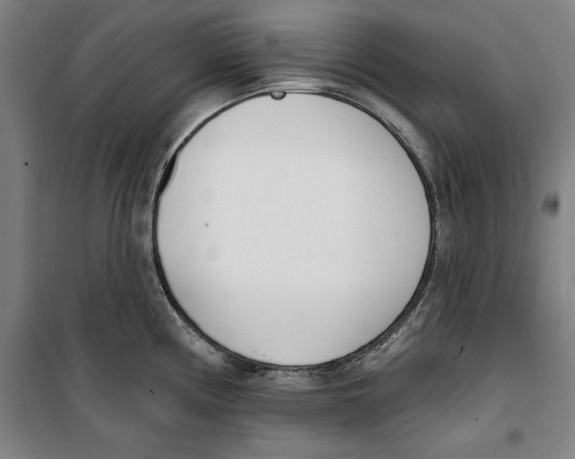 X0000100321194200807031203