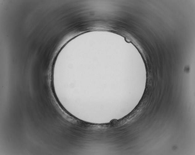 X0000100321195200807031203