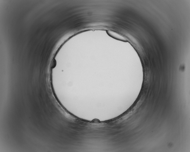 X0000100321196200807031203