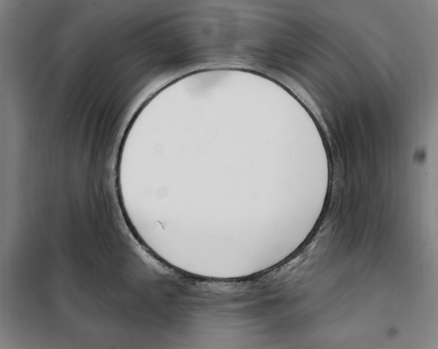 X0000100321197200807031203